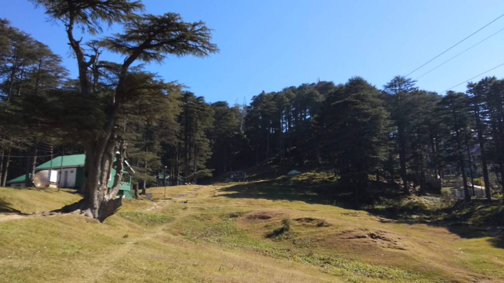 Patnitop: A Mesmerizing Hill Station in Jammu &&nbsp;Kashmir